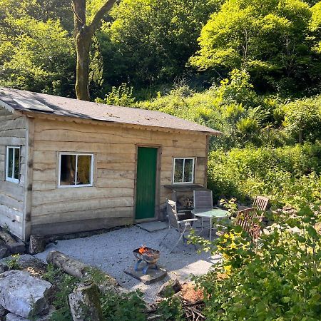 Foxglove Eco Lodge Llanelli Luaran gambar
