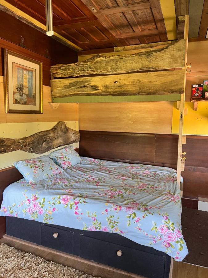 Foxglove Eco Lodge Llanelli Luaran gambar
