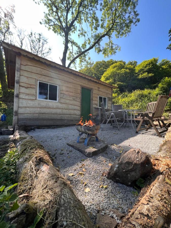 Foxglove Eco Lodge Llanelli Luaran gambar