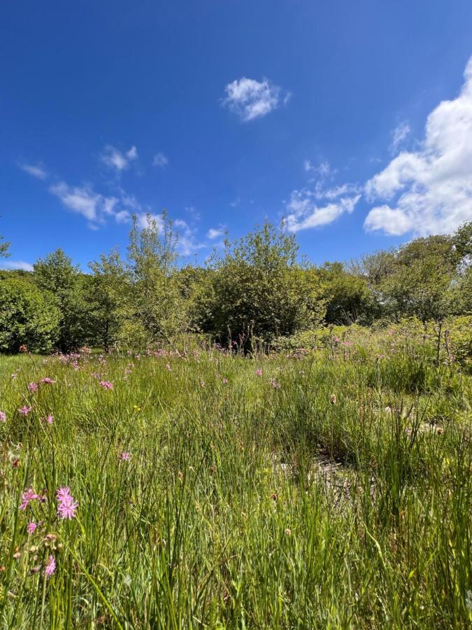 Foxglove Eco Lodge Llanelli Luaran gambar