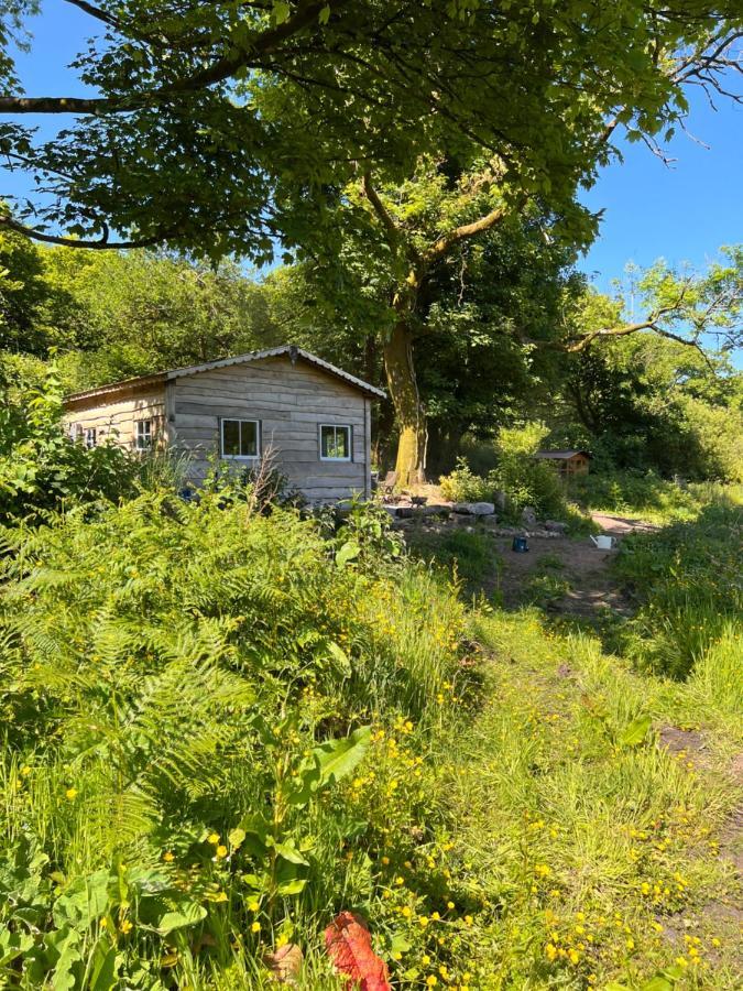 Foxglove Eco Lodge Llanelli Luaran gambar